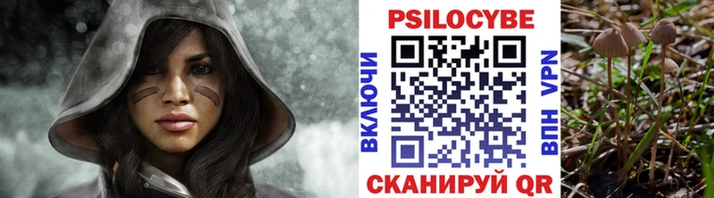 Галлюциногенные грибы прущие грибы  Зеленоградск 