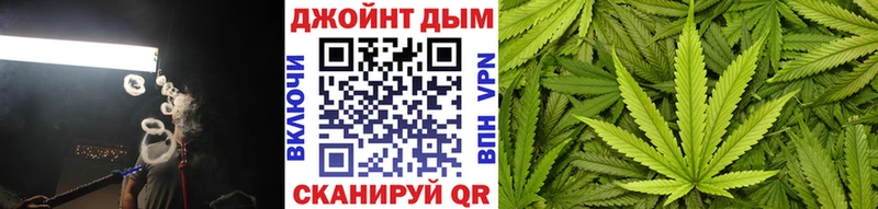 OMG ТОР Зеленоградск Конопля планчик